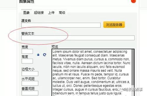 细节决定网站排名，文章排名百度首页_SEO优化