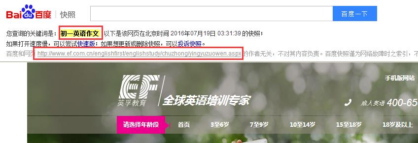 分享一个关于百度搜索结果的奇葩现象 | SEO技术文档
