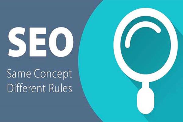 到底要不要选择专注的人来进行网站优化呢？ - SEO快速排名